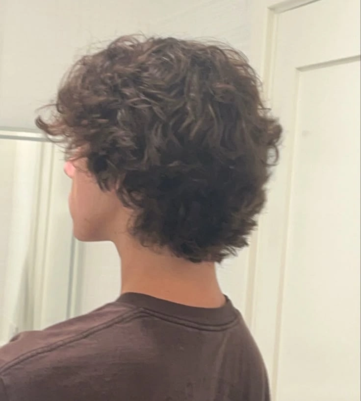 Curly Flow Haircut