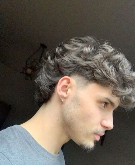 Mullet Fade Haircut