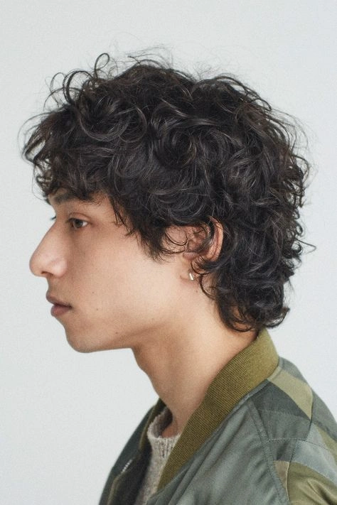 Shag Haircut Curly