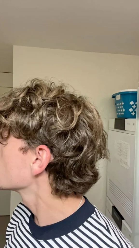 Wavy Mullet