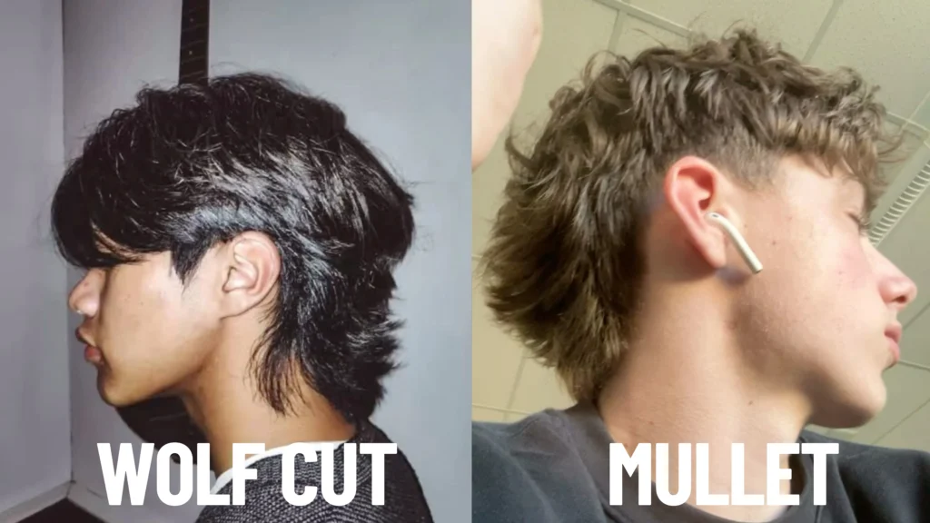 Wolf Cut Vs Mullet Haircut